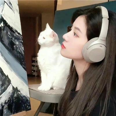 钢铁少女团2